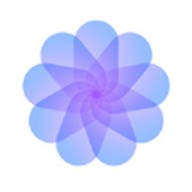 yr12·tv伊人直播