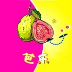 六夜视频播放器下载安装